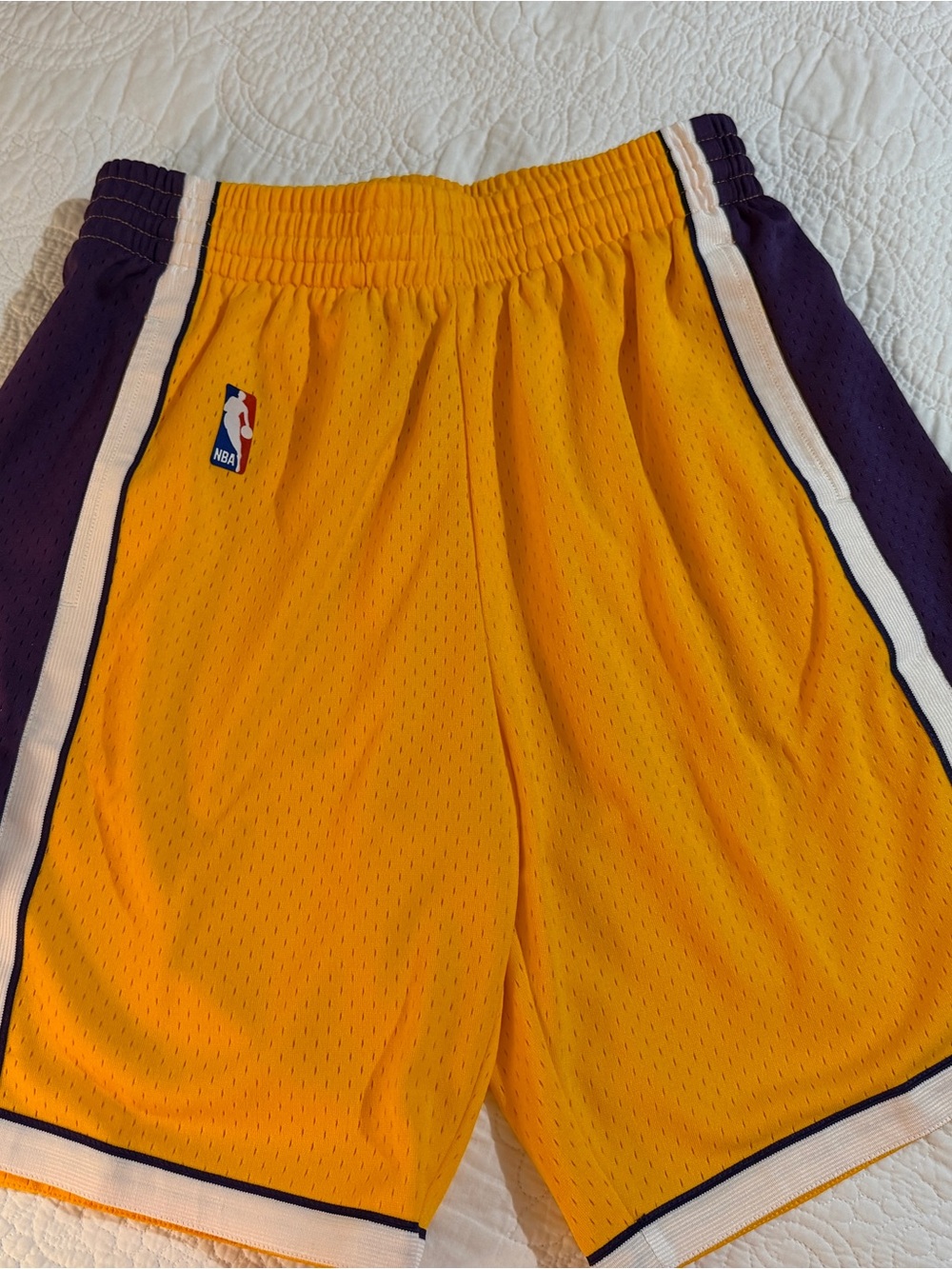 NBA Men’s Lakers Yellow & Purple Basketball Shorts Size M 30” Waist